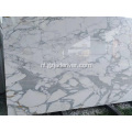 Statuario Marble Stone White Marble voor Project